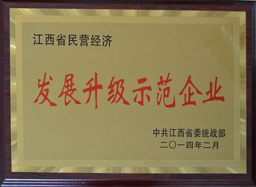 仁和集團榮膺“江西省民營經(jīng)濟發(fā)展升級示范企業(yè)”